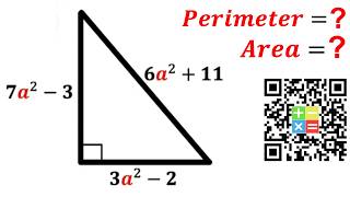 Can you find Perimeter and Area of the right triangle | (Solve) | #math #maths | #geometry