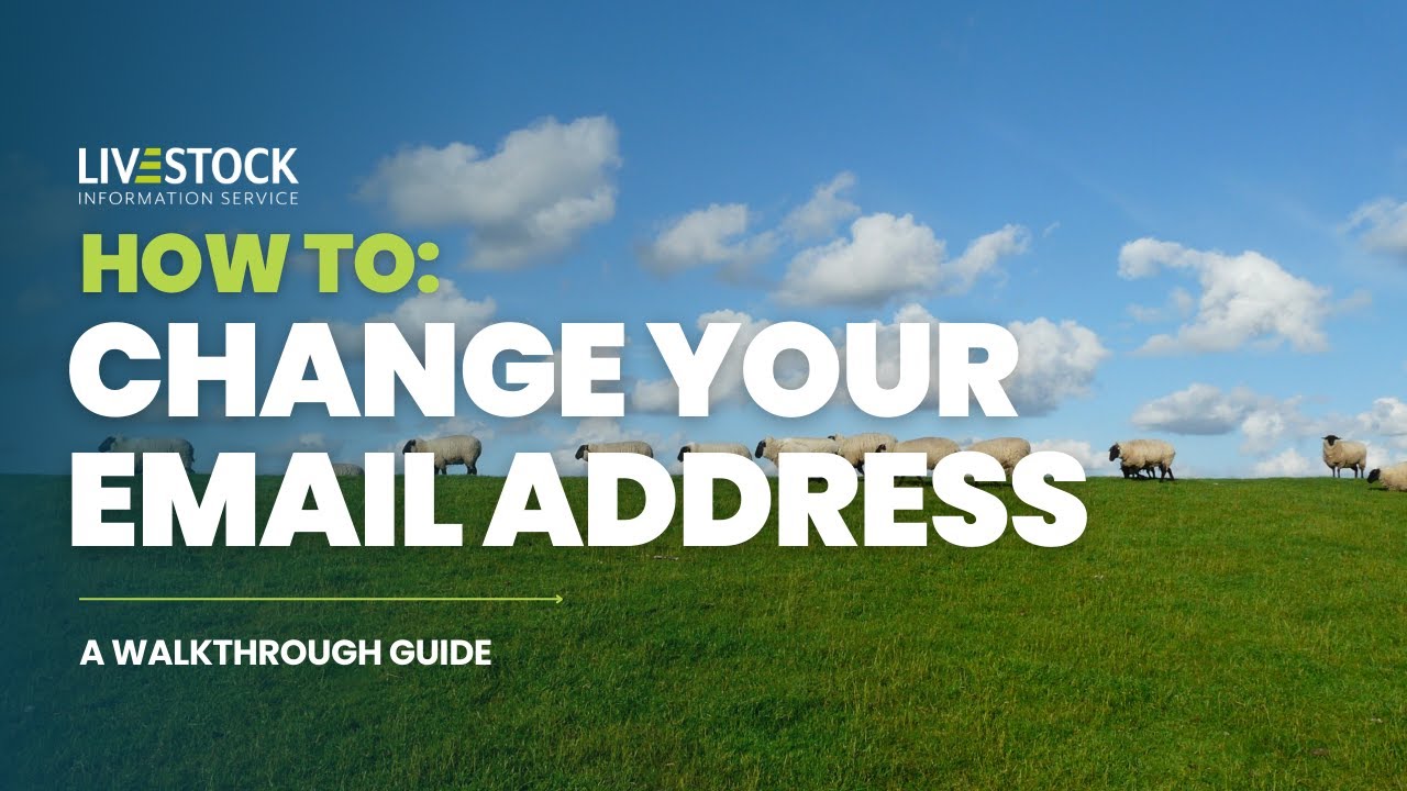 How To Change Your Email Address on LIS