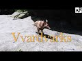 SKYRIM MOD I Vvardvarks