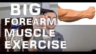 How to Workout the Brachioradialis Muscle for Bigger Forearms