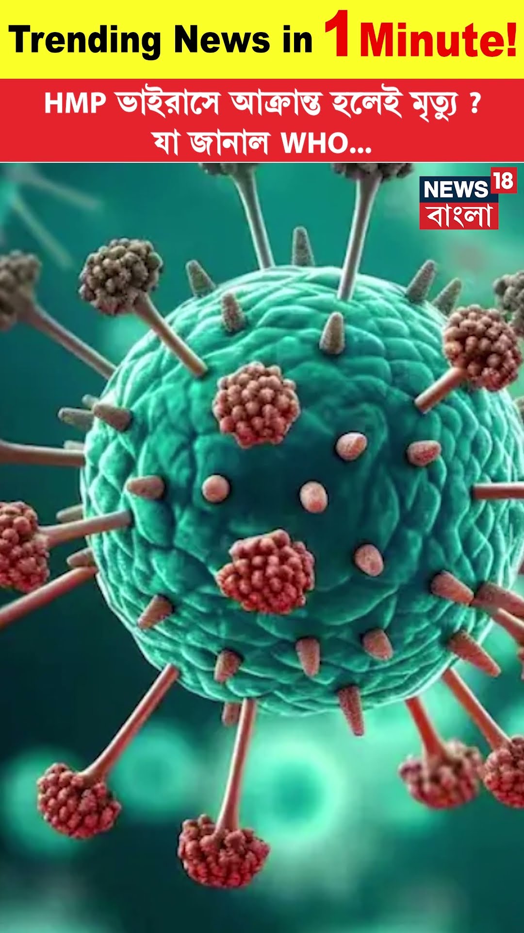 HMP Virus এ আক্রান্ত হলেই মৃত্যু? যা জানাল WHO... | N18S | Trending News | #shorts