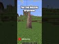 you can destroy Dripstone with a Trident #shorts #minecraft #minecraftshorts