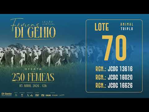 LOTE 70 JCDG 13616 16020 16626