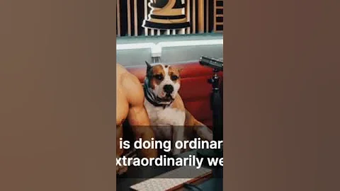 GIVE IT YOUR ALL And You WILL WIN - Andrew Tate Motivation _  Motivational Speech - Jim Rohn #2025