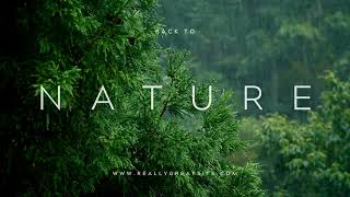 Nature Travel Youtube Video Intro
