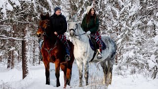 Красивая мелодия до слёз! Падал снег! Это красивые зимние мелодии, трогающие сердце Сергея Чекалина