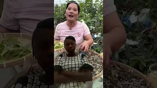 Guava Leaves Turned into Million Dollar Health Product #shorts#plants #farming #duet#viralvideo
