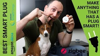 Still The Best Smart Home Plug for the Money