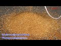 Continuous grain roaster machine from serenamachinehallcom