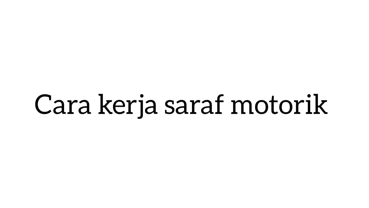 sistem saraf sensorik dan motorik