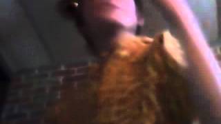Capture 20120321 3