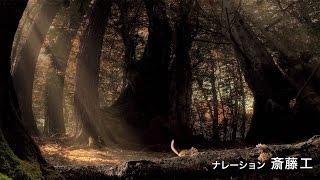 斎藤工がナレーション！映画「小さな世界はワンダーランド」予告編　#Small world Wonderland　#movie