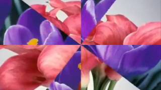 Download Happy Birthday My Friend Video MP3 Happy Birthday My Friend