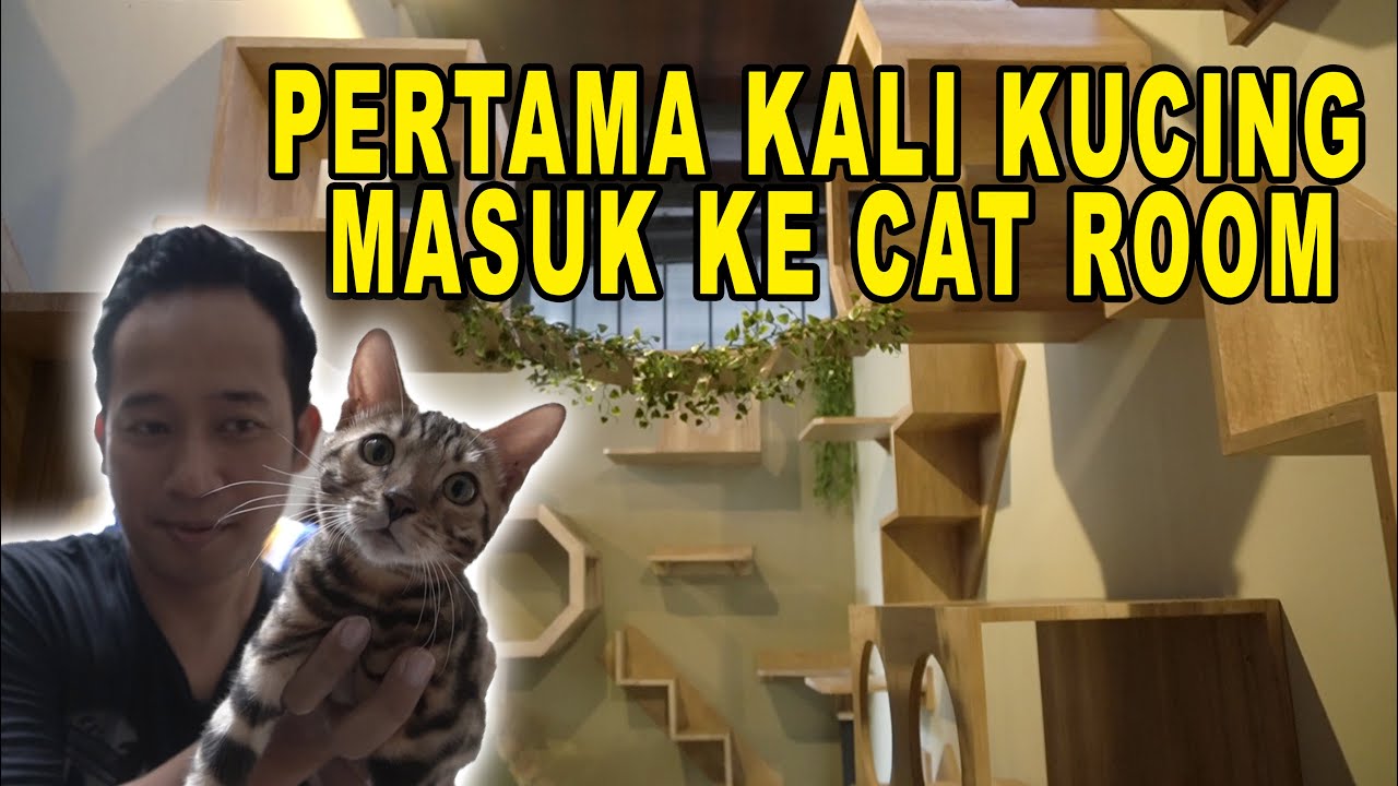 Hasil Akhir Catroom Mewah Youtube