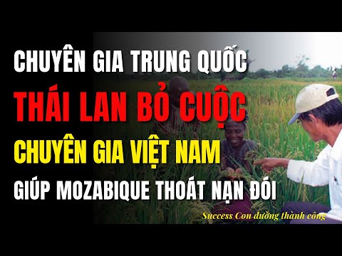 Trung Quốc và Thái Lan Tháo Chạy, Chuyên Gia Việt Nam Giúp Mozabique Tho...