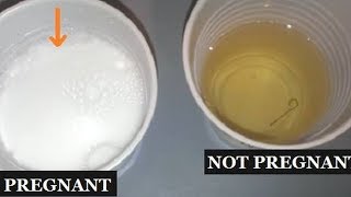 Pregnancy Test With Sugar , Homemade Pregnancy Test Sugar , Pregnancy Test