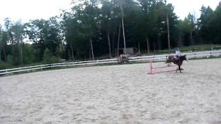 Jumping Java 8/31/11