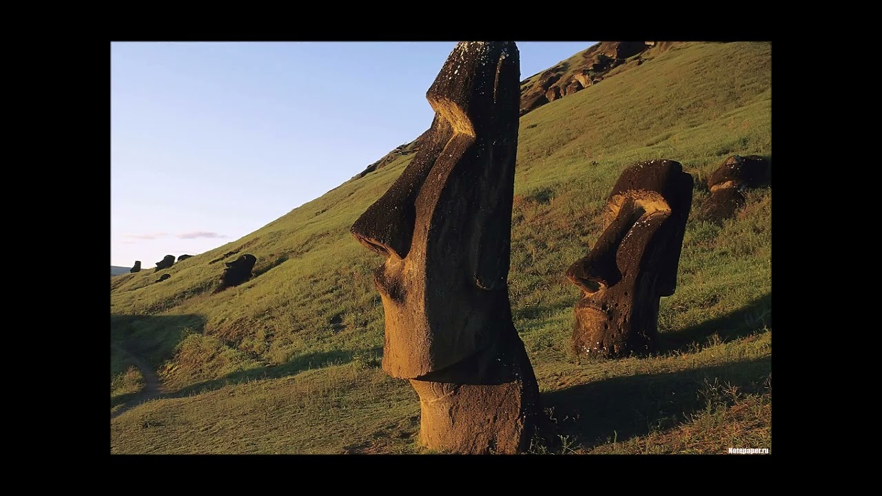 Fisher - Wyrafinowana 2008