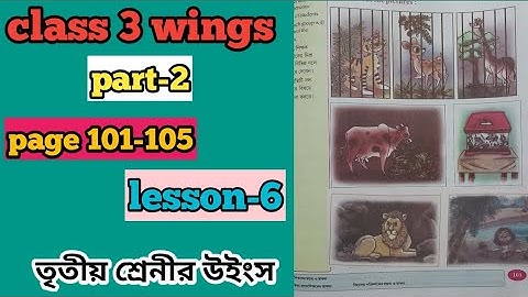 wb class 3 wings part-2, lesson-6, bengali meening and activity1-4,page 101-105/তৃতীয় শ্রেণীর উইংস