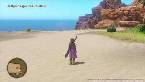DRAGON QUEST XI: Echoes of an Elusive Age -A Walk on the Wild side