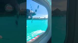 I Am Visiting The Maldives This Month