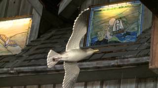 Chicago's Best Seafood: Port Edward
