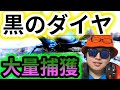 【乱獲】カブトムシってかなりの値段で取引されてるらしいよ、、、