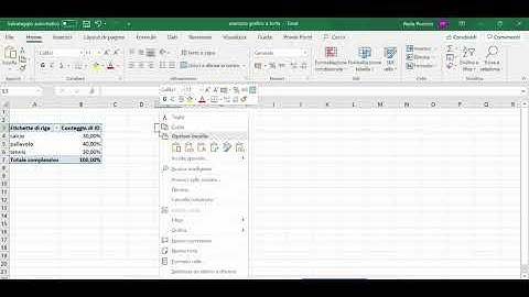 Grafico a torta Excel