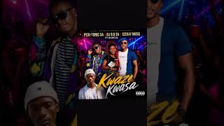 Kwaze kwasa-Dj 9.8 SA, Ceekay musiq, Pexi-tonic SA ft Dorcus 