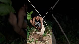 Trik Memancing Hewan Nya Keluar Sangat Bagus nature shortsviral