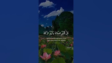 سورة المائده |قران كريم |ارح سمعك