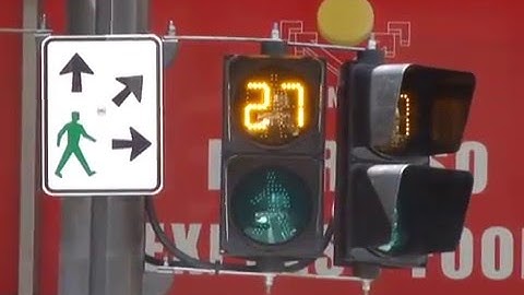 Aldridge Pedestrian Signal with Countdown Timer