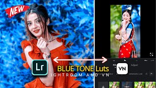 Blue Tone Filter Preset For VN And Lightroom Mobile | Colour Grading screenshot 4