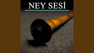 Ney Taksim