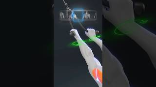 Rope Pulling Exercises Explained — Know the Difference!#short