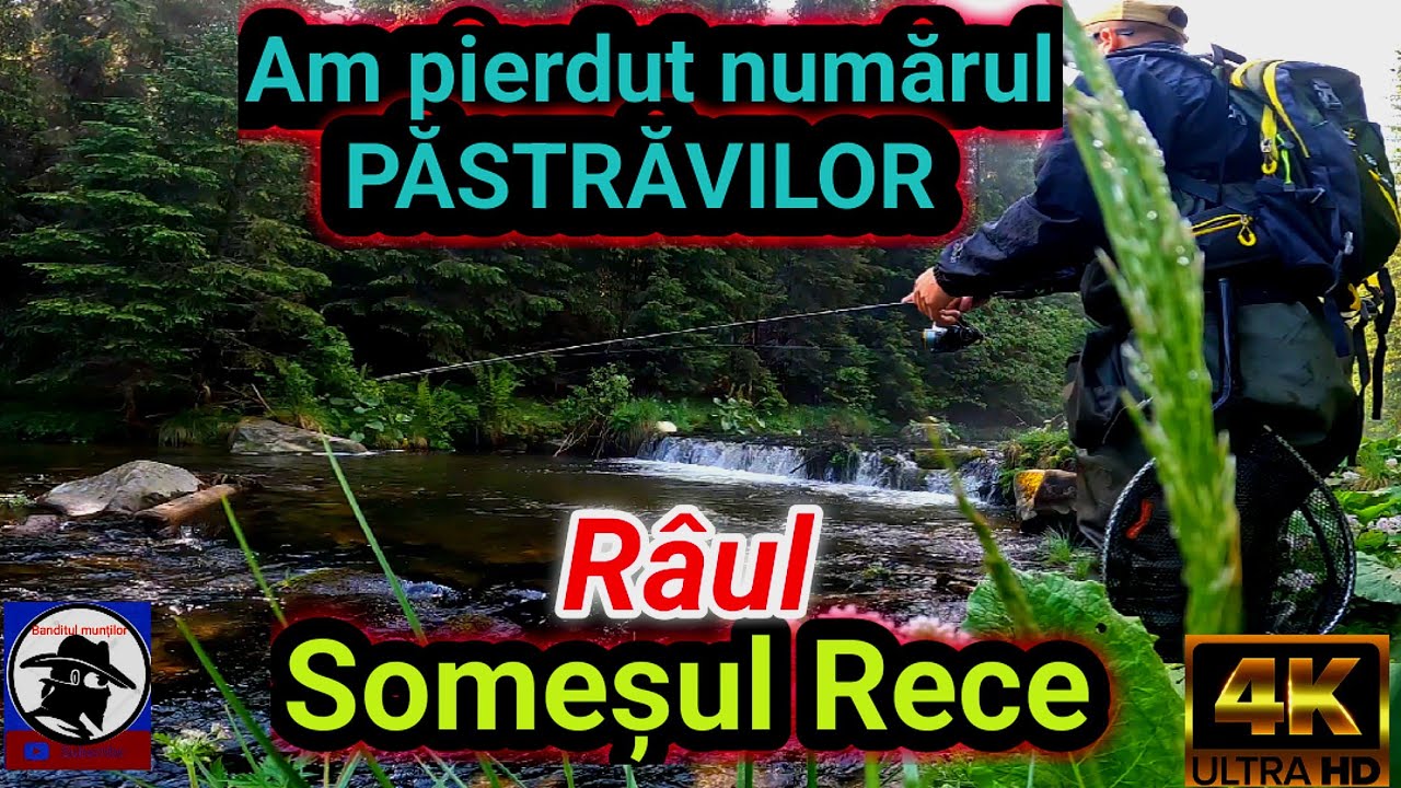 Am pierdut numărul PĂSTRĂVILOR prinși pe râul SOMEȘUL RECE! Munții Apuseni! Trout fishing!