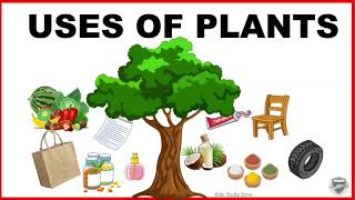 Uses of Plants for kids | Use of Plants | Plants and their uses