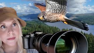 I found amazing wildlife around a Scottish loch!