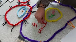 Modelling how the HIV virus replicates itself A level Biology