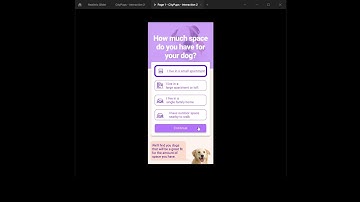 CityPups - UX Design on Dog Adoption App