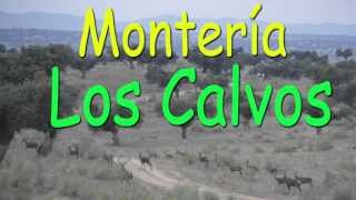 Montería en Los Calvos - 27 de Octubre de 2013