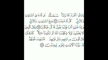 2 - سورة البقرة ١١٦-١١٨ - مشاري بن راشد العفاسي