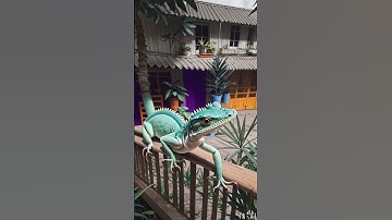 Lizard 🦎 #shorts #ai