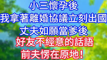 【爽文】小三懷孕後，我拿著離婚協議立刻出國，丈夫如願當爹後，好友不經意的話語，前夫愣在原地！#情感故事 #生活經驗 #老年生活 #為人處世