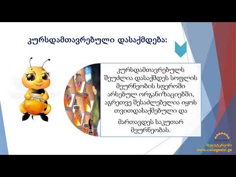 მეფუტკრეობა