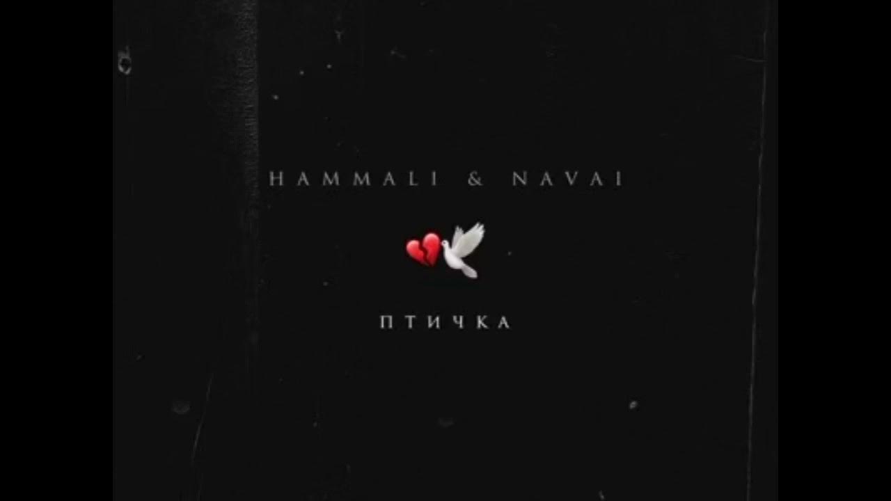 Hammali navai птичка пародия. Птичка HAMMALI Navai. Песня птичка HAMMALI. Песня птица музыка. Птичка песня текст.