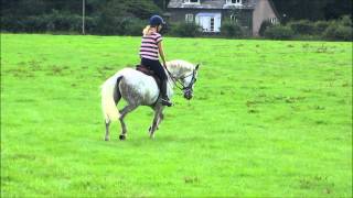 Erinsborough (Quinn) right rein flatwork