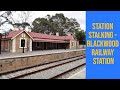 Blackwood Railway Station || Station Stalking.