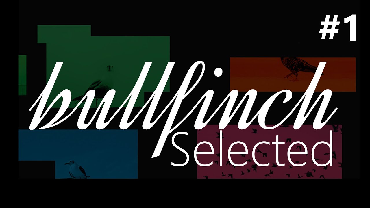 Bullfinch Selected - Compiled & Mixed by Agustin Aluise