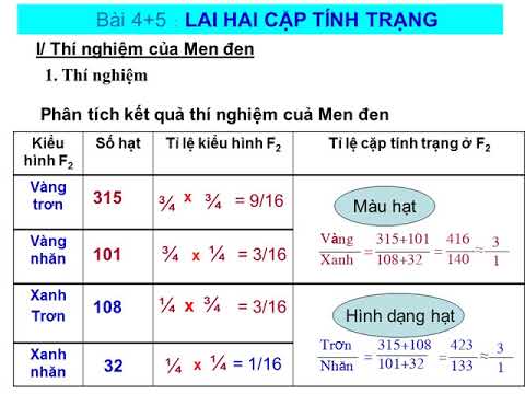 Sinh học 9 - Bài 4: Lai hai cặp tính trạng